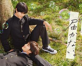 海涛法师海报剧照