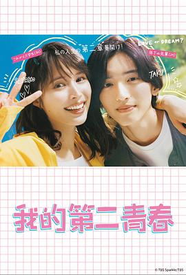 亚洲欧美日韩a在线观看赵总探花海报剧照